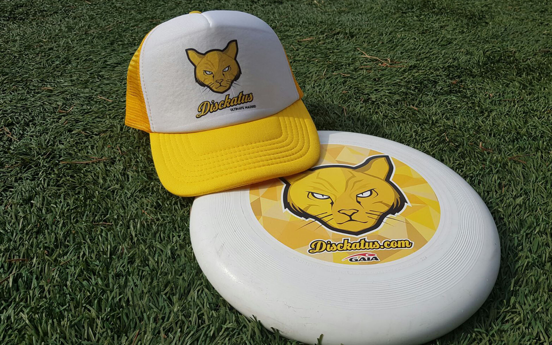 Equipamiento Esencial: Qué Necesitas (y Qué No)