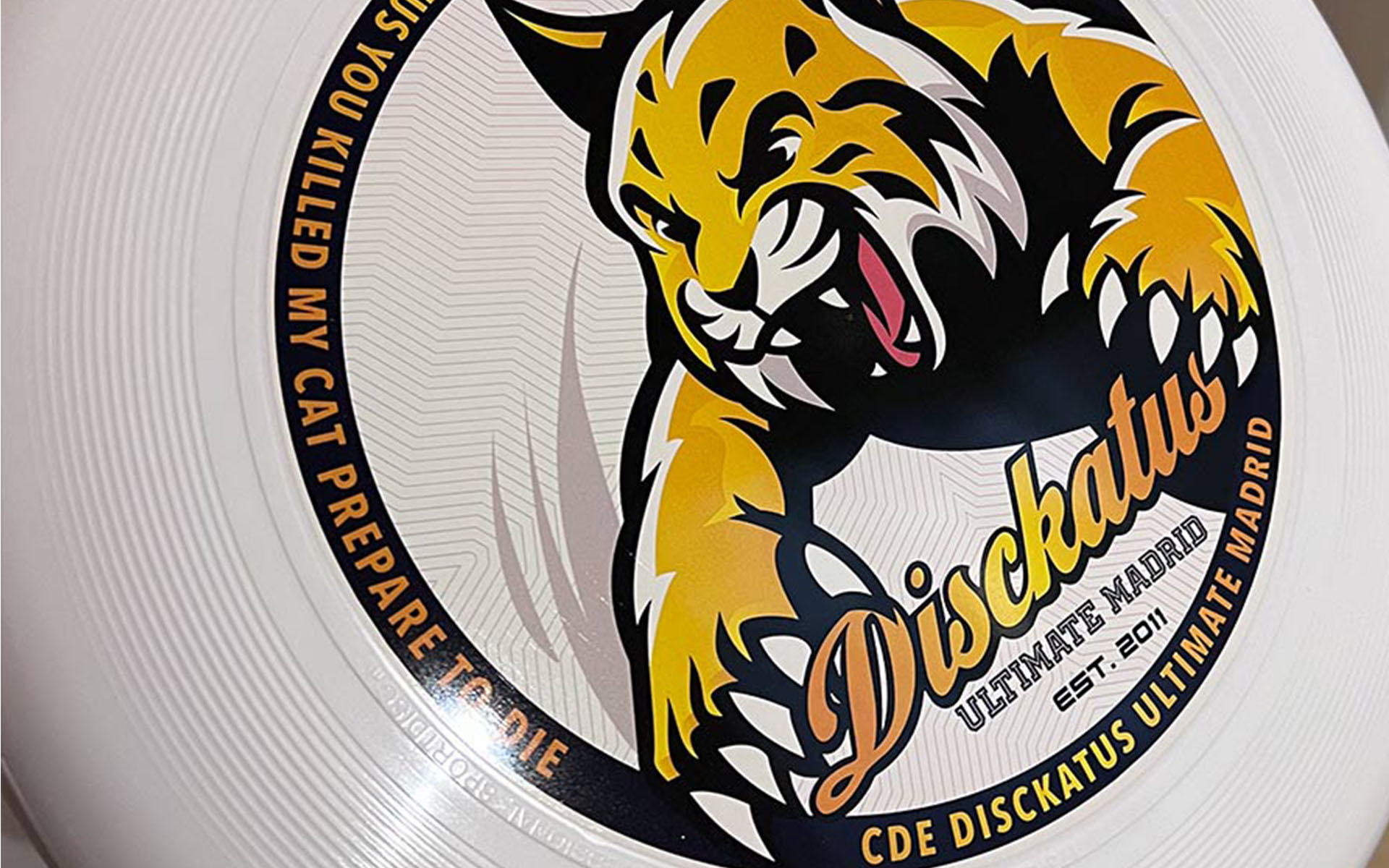 Guía Completa para Elegir tu Primer Disco de Ultimate