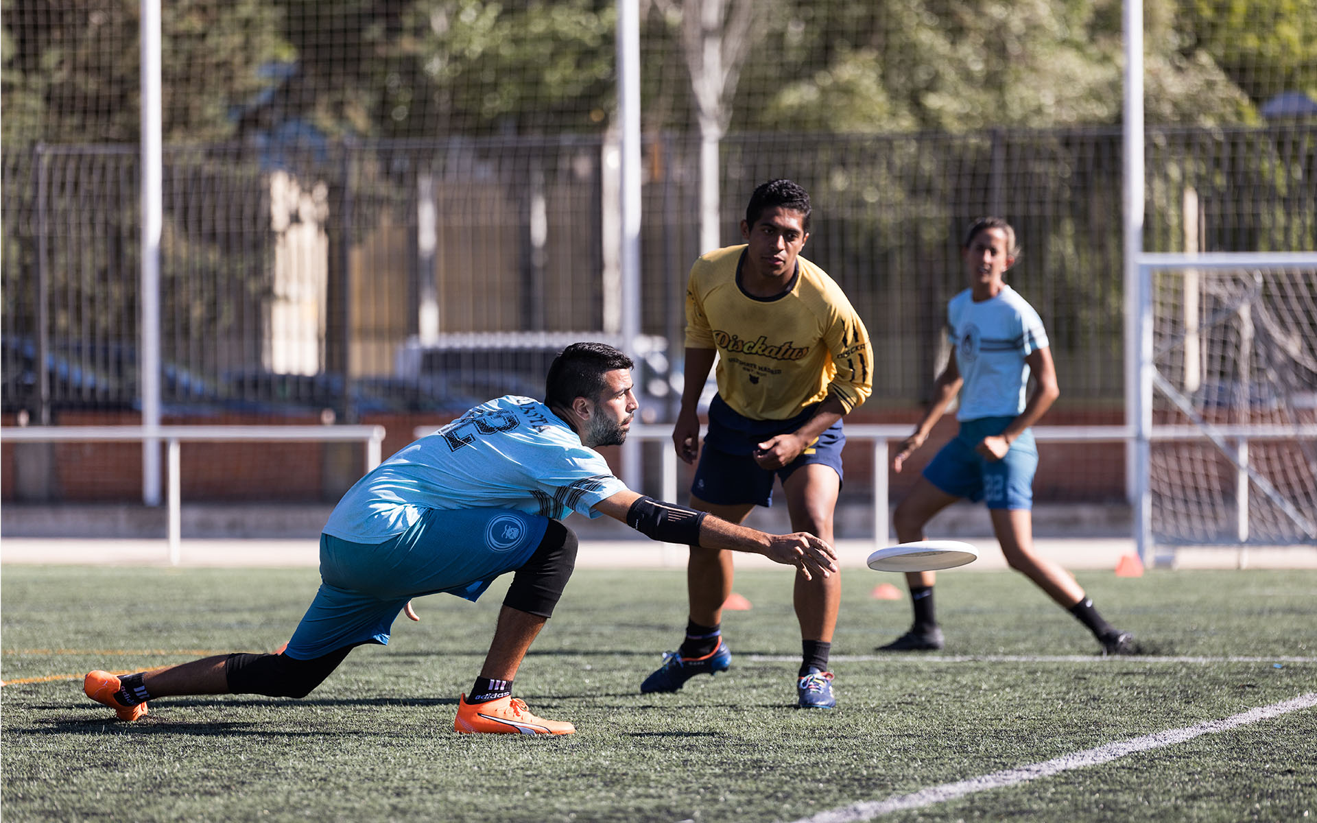Leer el Viento: Adaptando tus Lanzamientos