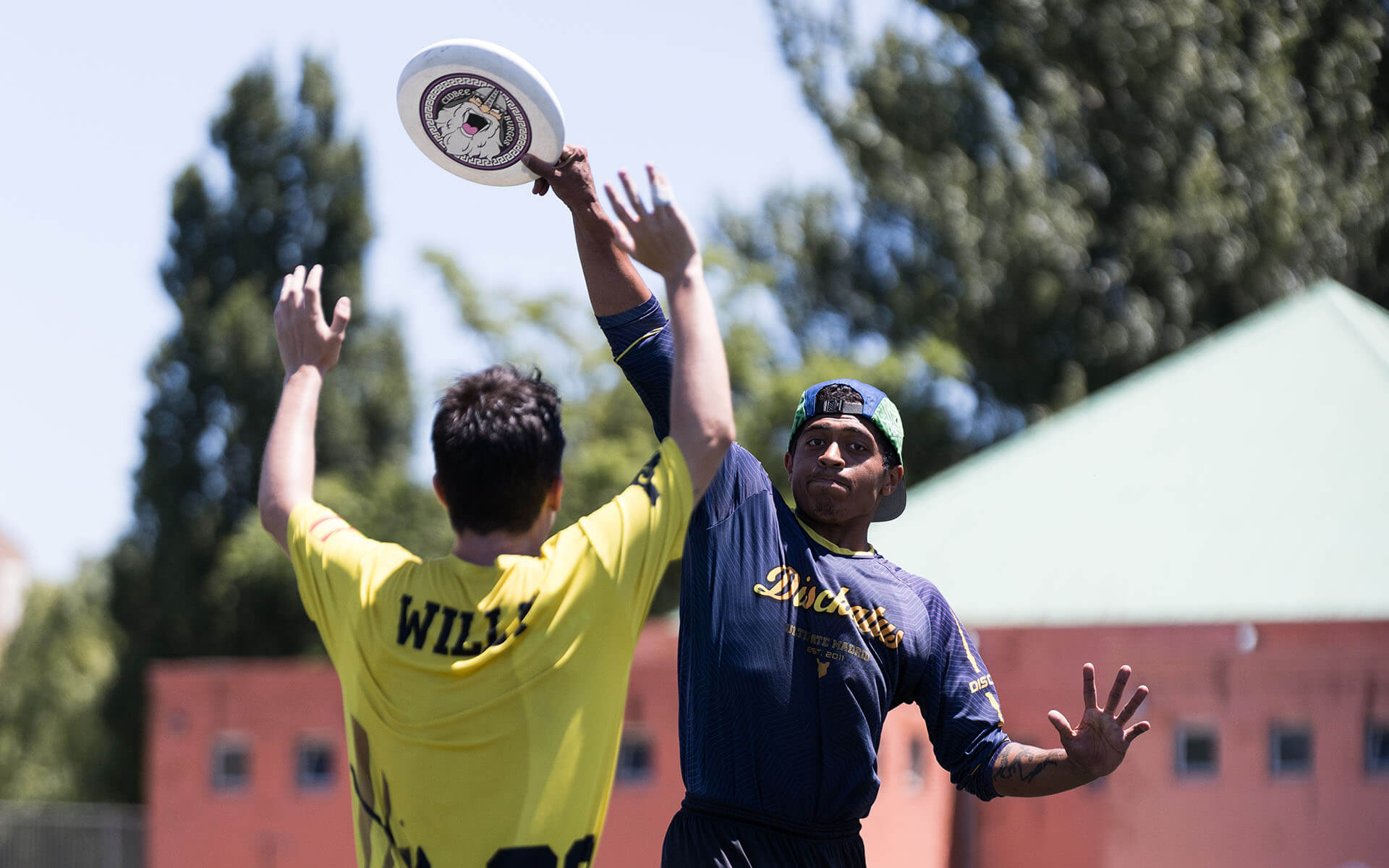 El Hammer: Tu Primer Lanzamiento Avanzado