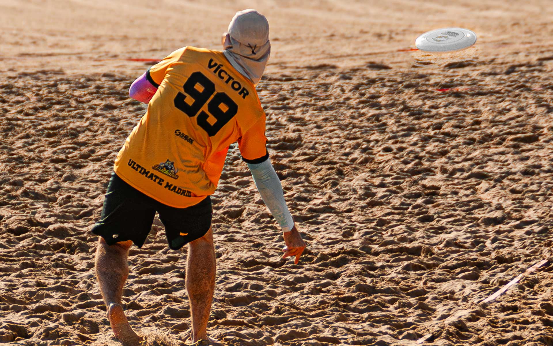 Las 10 Reglas Fundamentales que Necesitas Conocer